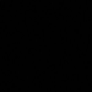 Meet your Posher, Ella